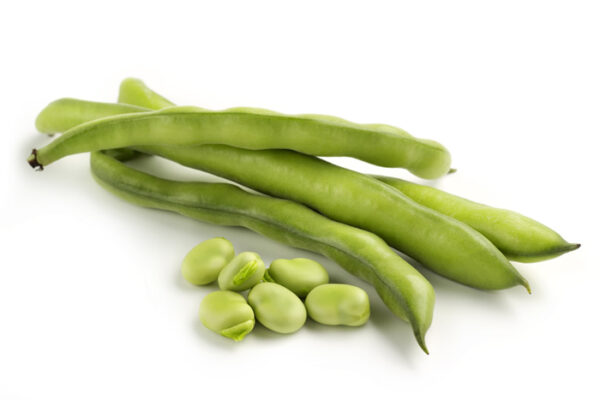 Broad Beans