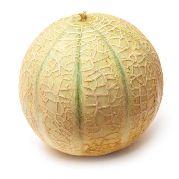 Canteloupe Melons