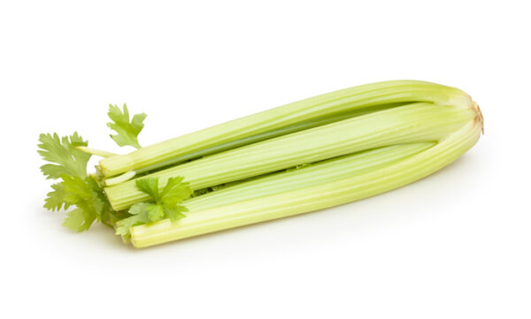 Celery