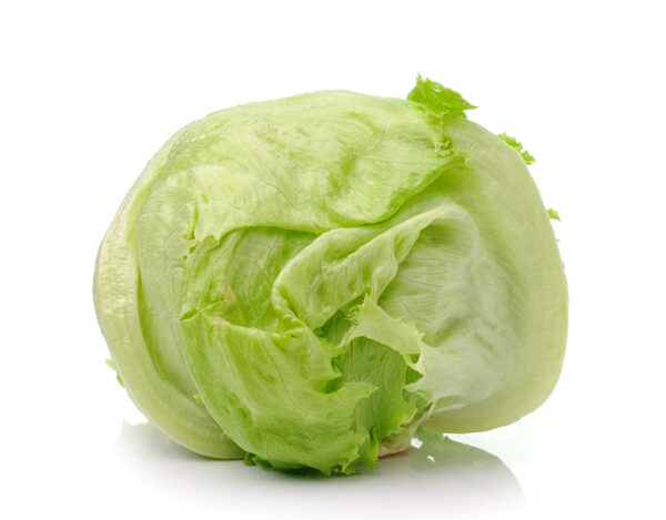 Iceberg Lettuce