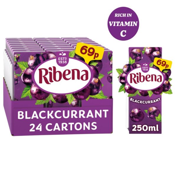 Ribena Blackcurrant Juice Drink 250ml