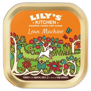Lily's Kitchen Lean Machine Adult Wet Dog Food 150g