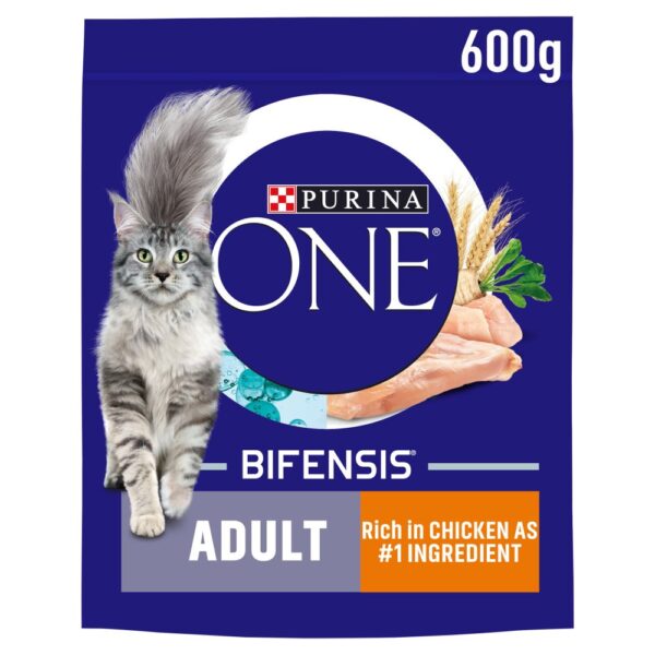 PURINA ONE Chicken Dry Cat Food 600g PMP